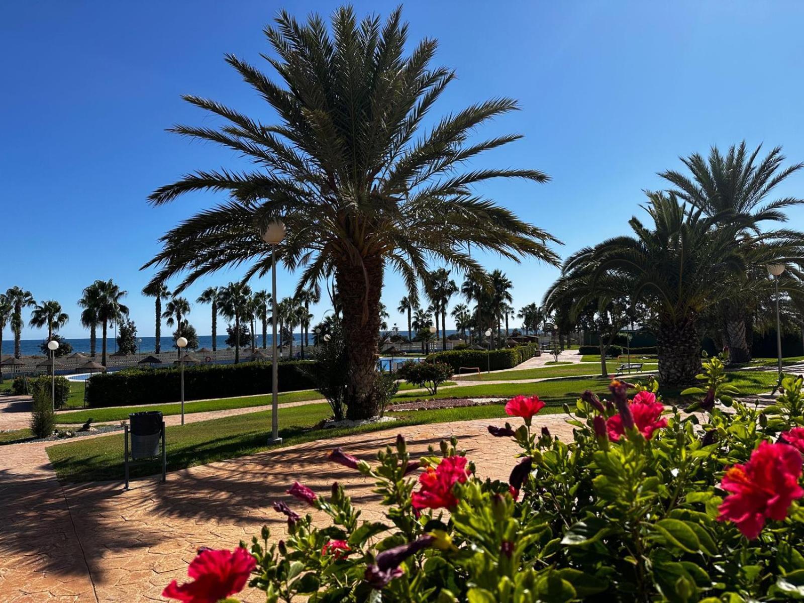 Luxurious Spacious Three Bedroom Apartment On Beachfront Almerimar Exteriör bild